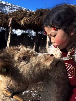 Lovely child#lahm #tibetan #music #beautiful #TibetanCulture #girl #humor #happy #viral #girls #TraditionalCuisine #foryou #baby #tea 