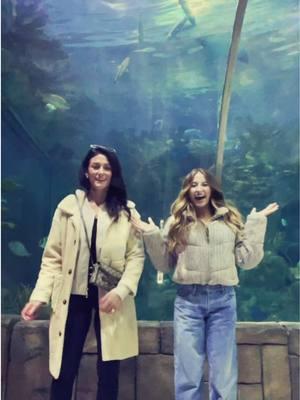 we’re in New Orleans!!🐠🎉 #fyp #neworleans #louisiana #tulane #collegevisit #viral #fyppp #aquarium #fish #turtle #hii #mom #momtok #tiktokdance #dancetok #momanddaughter 