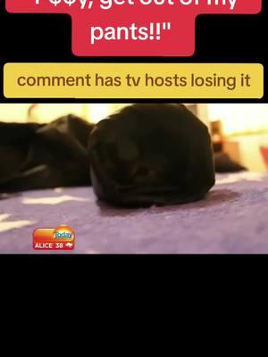 #cats #catsoftiktok #cat #news #newsbloopers #foryourpage #foryoupage #foryou #fypシ  #fypage #fyp #videoviral #viralvideo #viral #goat #tips #tipsandtricks #Lifestyle #miami #florida #floridaman #random #randomthings #randomstuff #randomstuffsbutfunny #justrandom #foryourpage #foryoupage #foryou #fypシ #fypage #fyp #videoviral #viralvideo #viral #goat #tips #tipsandtricks #prankster #pranks #pranksters #funny #funnyvideos #funnyvideo #funnymoments #hilarious #hilariouspetstiktoktv #hilariouspetstv #madeyoulook #madeyoulaugh #madeyoulookchallenge #viral #viralvideo #viraltiktok #fyp #fypシ゚viral  #fypage #foryour #foryour #foryourpage #sigueme #sigueme_para_mas_videos_asi #mexico #duet #stitch 