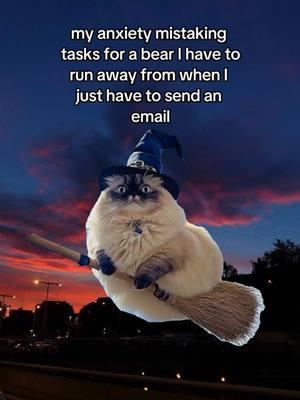 “Why can’t you do this simple thing? It’s so stupid” If you ever find yourself thinking about an overdue reply to an email that’s rotting in your inbox... I want you to know you can’t always measure the difficulty of tasks according to the task’s size. You have to measure them in terms of how uncomfortable they make you. Cleaning your whole house is a large task, but your brain is probably more willing to do that instead of the “small” email you *know* you need to send, but can’t seem to. Why? The email gives you anxiety. Maybe there is a decision you have to make and you’re not sure how to move forward. Maybe you have to deliver bad news to a client and don’t want to make them upset. Maybe you’re worried your request will be rejected. Try to get to the bottom of that first instead of beating yourself up for avoiding it (shame isn’t serving you) Follow along if you’d like to learn more about how to lower your anxiety so you can procrastinate less (without needing silly things like 30 min timers)  #anxiety #taskmanagement #MemeCut #memenatal #Meme 