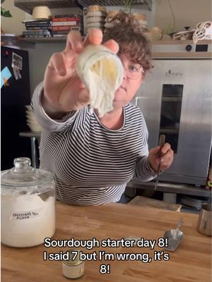 New sourdough starter day 8! #breadtok #fyp #sourdoughstarter #starterday8 #startercare #startertips #newsourdoughstarter 