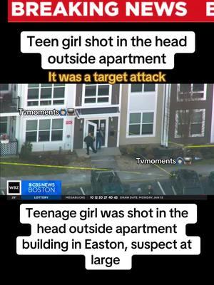 Teen shot in the head #breakingnews #Massachusetts #easton #eastonma #Boston #bostonma #shooting #crimejunkie #truecrime #fyp #fypシ #viral #viralvideo #tvmoments🙆🏻‍♂️📺  