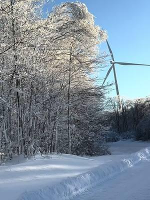 Stunning 😍 #lansingogs #massfollowing #dontgo #snow #windmills #quinwood #snowstorm2025 #2025 #breathtaking #January #massfollowing🔥🔥 