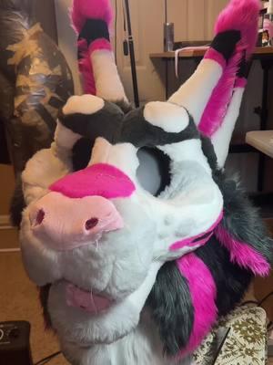 SHES DONE!!! I LEAVE FOR ANE IN 11 HOURS LMAO #fursuit #fursuitmaker #ane2025 #fursuitmaking #pinkfursuit #bigcatfursuit #catfursuit #fursuitbigears #furry #fypシ #fursuitwip #fypシ゚viral 