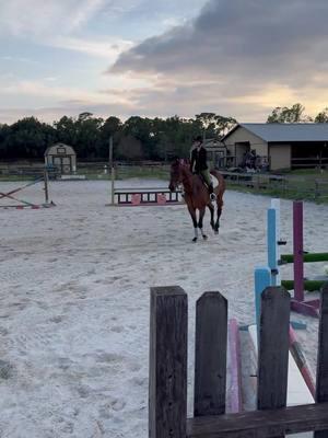 derb was wild today and my eq has been so meh lately (please let me pick on myself) im not ready for the cpi show this weekend #DerbyKruzeraqha #rideforchrome #equestriansoftiktok #dreamlandfarmsfl #aqha 