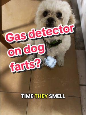 This gas leak detector is a must have in all homes. #gasleak #whofarted #fartcoin #stinks #gasdetector 