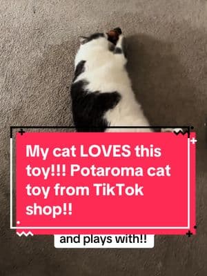 Finally a toy that he actually plays with! This cat toy satisfies his hunting instincts. There’s a catnip pouch and a rechargeable battery inside the bird toy!! The bird’s wings flap and it chirps. The sound, smell of catnip and the movement together makes it a great cat toy! #cat #catsoftiktok #cattoy #TikTokShop #potaroma #catenrichment #indoorcat #catplaying 