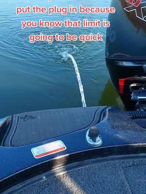 When you’re on them … you’re on them 🎣 #fishingaddict #fishingday #fishingtime #bassfishing #fishinglifestyle #fishingfunny 