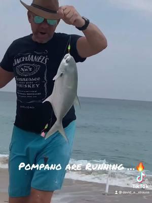 #pompano #surfcasting #inshorefishing 