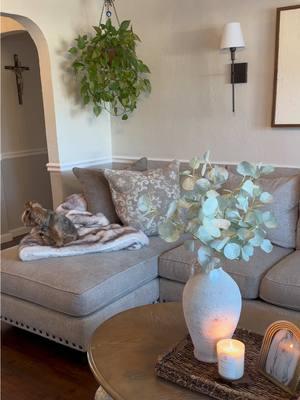 Love this cozy blanket it's super soft and warm, perfect for staying in on a cold day🏡♥️. . . . . . #throwblanket #battilohome #livingroom #accent #sectional #couch #coffeetable #doggies #cozy #cold #winter #casa #aesthetic #mood #vibes #TikTokShop #showcase #interiordesign #Home #homedecor #decor #interiordesign #señora #señoralife #peace #paz #fyp #trending #inspiration #blessed #spanishstyle #hacienda #plants #🏡 #🧿 #romantic #movienight #sala #saladecorada #sillones #couches #couch #decorative #oh__carolinaa 