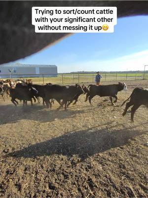 I’m basically an emotional support fence post #texas #horsegirlvibes #ranchlife #couplegoals #cattle #ranchcowboy #baldbaddie 