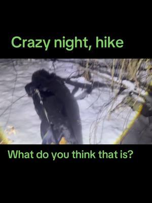 Mythical creature night hike #trending2025 #TikTokShop #tiktoktrendingvideo #Rottweiler #LOOK #tiktoktrending #watchlive #dog #mythical creature#outdoor adventure#Michigan mythical creature#Sasquatch#Wendigo#Bigfoot trending#Shapeshifter trending#watch#listen#mythical monsters#crazy night height