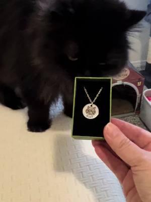 Follow link in this video to make your own.  This is the most precious keepsake.  #cat #catsoftiktok #fluffycat #blackcatsoftiktok #persiancatsoftiktok #persiancat #wynnthepersian #necklace #TikTokShop #ipetprints 