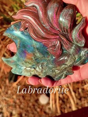 Stunning Labradorite Carvings! ⭐️⭐️⭐️ These will be available on our live shows W,Th,F. Schedule is pinned! #labradorite #crystals #crystalcollection #crystalsmallbusiness #crystalshop #crystaltiktok #crystalfun #crystalsoftiktok🔮 