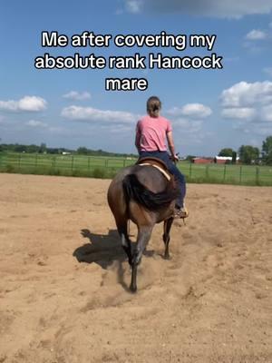 This is dripping with sarcasm #rank #morecowboy #hancockhorses #mare #cowgirls #western #fyp #trending 