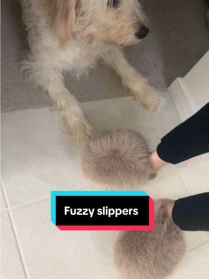 These fuzzy slippers are a dream 🥰  #fuzzyslippers #slippers #trendingslippers 