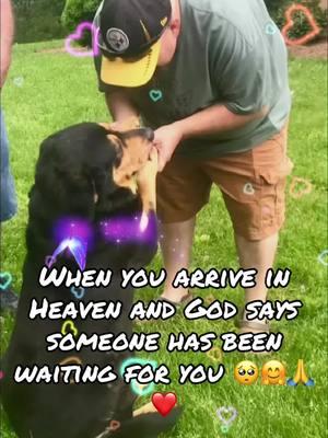 I’ll love you forever Lucky. A part of me has died today! 🥺😢 #mansbestfriend #dog #bestfriend #Unbreakable💎Loyalty #Unbreakable😈💎😈Heathens #Unbreakable😇💎😇Angels #⛓️🔥infamous_pittbullz🔥⛓️224_👑rn👑 #👑RoyalNation👑 #indestructible_ones🤟🏻 #Summer of genx🔥 #sunnysidechainz🌻🌞🌻 #sunnysidefamily🌻🌞🌻 #sunnysidesaturdays🌻🌞🌻 #kindwednesdays #indestructible_ones🤟🏻 #queensupliftingqueens👑 #kingssupportempire👑 #❤️‍🔥Incubus_Mafia❤️‍🔥#⚔️Rebel_Wolfpack_Cr3w🐺#⚰️Nosferatu_Coven⚰️ #❤️‍🔥Succubus_Mafia #⚔️Sasquatchmafia⚔️ #👑baybiebeezkingzqueenzfam👑#duetrandy  #⚔️royalknights⚔️360#🌴👑og_family  #✌️💖🤙 #🖤💚starr #🌴👑✨️Agape✨️👑🌴 #sasluvandsupport❤️ #🌴👑og_family👑🌴 #🌴🛡️anti_bullying🛡️ #duet #80ssquad  #🌴👑og_kings👑🌴  #👑𝖇𝖆𝖞𝖇𝖎𝖊𝖇𝖊𝖊𝖟𝖗𝖔𝖞𝖆𝖑𝖋𝖆𝖒🐝👑 𝕽𝖔𝖞𝖆𝖑 𝕮𝖔𝖚𝖓𝖙 𝕯𝖜𝖆𝖞𝖓𝖊 🤠🖤🧛#gypsykrewe #Unbreakable #longervideos  #1min  #LearnOnTikTok #MentalHealth  #mensmentalhealth 