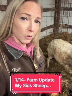 1/14- Farm Update: My Sick Sheep... #cattarauguscountyag #wny #gobills #lifeofanagteacher #mitrowskihousefarm #sheep #meningealworm #listeriosis #womeninag 