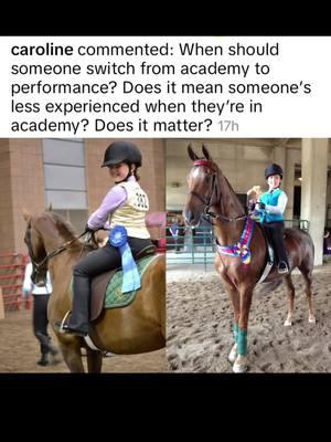 Hope this helps😊 #itsallaboutthegame #saddlebred #saddleseat #threecardmonte 