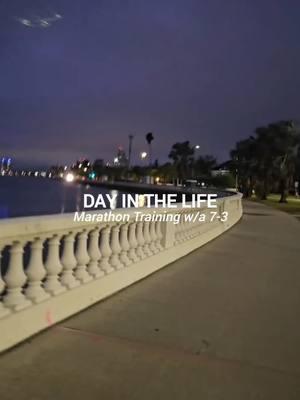 Back to the office today, prep and planning for gasparilla begins, and I see it on my morning runs along Bayshore. Did a speed run that felt a little rough today BUT I got it done! managed to squeeze in an overly due oil change after the gym and then split tasks to settle in for the night with Bobby. Productive busy day for sure 😴😴 #dayinthelife #gasparilla #tampa #downtowntampa #eventcoordinator #eventindustry #gasparillatampa #followtheplan #momentum #motivation #marathontraining #littlerockmarathon #speedrun #runna #hokas #crunch #upperbody #working2jobs #weddingphotographer #corporategirlies #corporatelife #officelife #9to5 #workvlog 