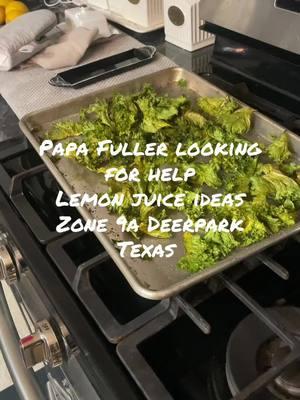 #papafuller #urbengarden #gardening #foryourpage #fyp #lemon #lemonjuice #juicingrecipes #kale #kalechips 