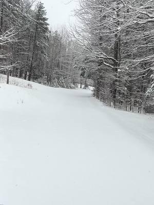 Snow Day on Buck Creek #snowday #bluebird #cowgirlwithagun #lifeinthewoods #tiktokrefugee @anna graves 