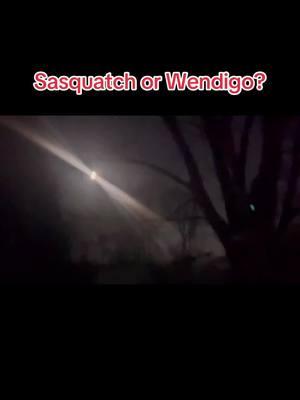 Sasquatch or Windigo? #trending2025 #tiktokfind#tiktoktrendingvideo #LOOK #watchlive #mythical #outdoorlife #Sasquatch #Wendigo #bigfoottrend #Shapeshifter #watch #listen #crazy #wildlife #full moon night#wild #