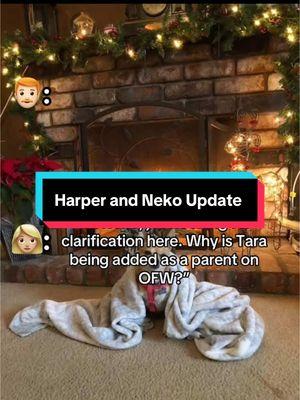 #tiktokban #fyp #familycourt #familycourtcorruption #coparenting #counterparenting #postseparationabuse #harperandneko #stalker 