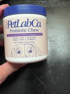 Petlabco probiotic chew#titctoc #titocshop #petlabcopartner #petlabco #fortoupage #englushbulldog 