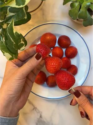 Tanghulu✨ ▪️1 lb. Strawberries▪️8 Skewers▪️2 Cups Sugar▪️1 Cup Water▪️1/2 tsp Cream of Tartar (optional, prevents crystallization)▪️Candy or Meat Thermometer▪️Parchment Paper▪️Oil Spray▪️ 1️⃣ Wash the strawberries and pat them completely dry. Thread three strawberries onto a skewer, starting with the largest at the base and ending with the smallest at the top. 2️⃣ Line a baking sheet with parchment paper and spray with oil. 3️⃣ In a small heavy pot over medium heat, combine the sugar, water, and cream of tartar. Cook while stirring until the sugar dissolves. Once the sugar dissolves, increase the heat to medium-high and boil until it’s amber in color and reaches 300F, 10-15 minutes. It’s important that the temperature is exactly 300F so monitor the temp with a candy thermometer or meat thermometer as the mixture boils.  4️⃣ Working with one skewer at a time, tilt the pot slightly to dip the strawberries into the candy coating. Use a spoon to evenly cover any areas that aren’t fully submerged. Place on the parchment lined baking sheet and let cool for 5-10 mins until the candy hardens completely.  5️⃣ These are best enjoyed soon after you make them while the candy is hard. Hope you love them as much as we do! If candy hardens on your pot, soak with hot water to clean.  ⏲25 minute total prep + cook time Recipe makes 8 skewers . #tanghulu #tanghulurecipe #maxiskitchen #recipesoftikok 