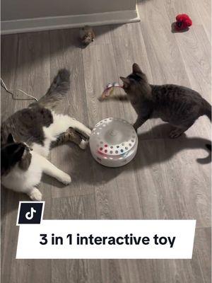 This interactive cat toy will keep your cat engaged all day! #interactivecattoy #indoorcatlife #cattoy #cattoys #catsoftiktok #catparent