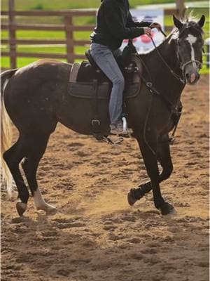 #Barrelracer #barrelhorse #barrelracing #barrelracingtok #barrelrace #barrelhorses #barrelhorsesoftiktok #prca #rodeo #rodeo #prcarodeo #prcarodeos #rodeolife #rodeotok #prorodeo #wpra @Justine Wanish 