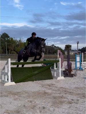 richy being the best 5yo eq pony today literally stepping over his first 3’3”!! would it be bad if we made his USEF name “Greys Anatomy” since his name is richard…  #moxieonlockdownaqha #rideforchrome #equestriansoftiktok #dreamlandfarmsfl #aqha #hunterhorse 