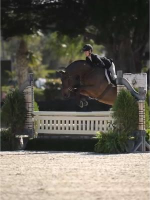 Scenes from the hunter ring last weekend with Oddur😍😍😍 he is coming along so well!!! #forsale #Wef #equestrian #juniorhunter #wellington #equestriansport #showjumper #PonyUpSporthorses 