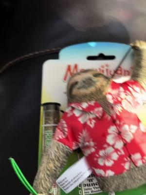 This awesome cat toy is only $10.99 while supplies last!!!😎 #jumpnjambgetwildsloth #Meowijuana #interactivecattoy #sloth #cats #catsoftiktok #cattoy #catnip  #foryou #fyp #fyf