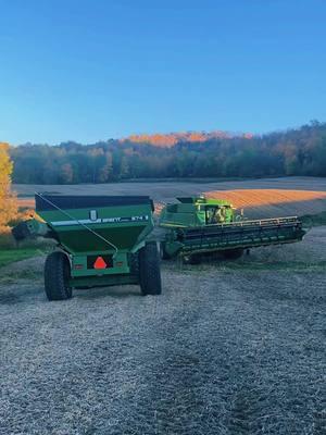 More Draft dumping… anyone also dumping soybeans on this rally? #soybeans #soybean #rally #draftdump #farming #farmtok #farmlife #harvest #soybeanharvest #ag #agtok #aglife #farmer 