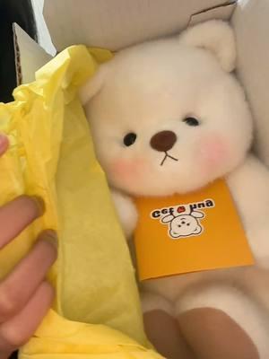 The way @Getahug.co made my day with this teddy bear 😭😭🫶🏼🫶🏼 I love you guys. #funkadoo #blindbox #plushies #trending #fypシ #viralvideo 