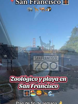 San Francisco Zoológico y playa cruzando la calle. Pasamos un día genial salimos de la rutina hicimos sándwiches snacks fruta y bebidas y vámonos… las niñas amaron este plan no tienes que gastar tanto para pasarla súper en familia.❤️🤌🏖️🦒🦁🐧🌊#fyp #sanfrancisco #zoo#zoologico#sanfranciscoactivities#actividadesparaniños #sanfranciscocalifornia #goldengate#zooday#diadezoologico #parati#familia#family#fyp#fuup#