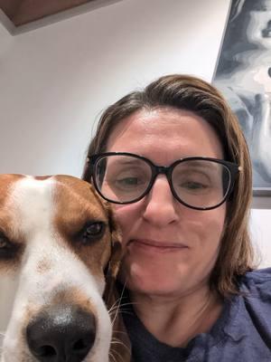 Replying to @familypass It's a hard pass for me. ❤️❤️❤️ #dogmom #beagles #beaglesoftiktok #dogtok #dogsoftiktok 