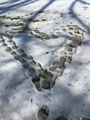 “To love and be loved is to feel the sun from both sides.” – David Viscott  My husband used the last bit of  snow in our yard to send me a love message 🥰  #tobeloved #happilymarried #happywife #adored #thankful #over50 #thisislove #Love #marriedlife 