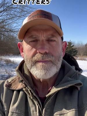 Folks asked for a follow up video of the results of feeding the critters. Here you go 😊 #stewardship #bloodhound_six #nature #kansas #offgrid #conservation #icestorm #deer 