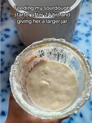 Feeding Genesis, my sourdough starter #sourdough #sourdoughtiktok #sourdoughtok #sourdoughbread #sourdoughasmr #sourdoughcrunch #sourdoughclub #sourdoughstarter #sourdoughstarters 