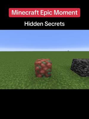 Minecraft Hidden Secrets #Minecraft #moments #trending 