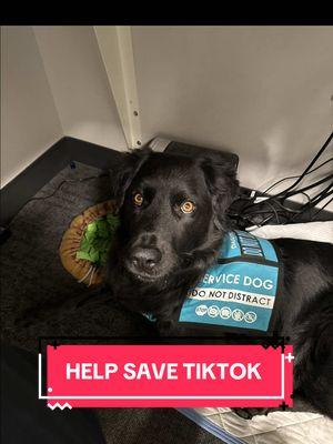 Thanks for the idea, @Good Trouble, from one Denver constituent to another 😉(already called once and know what our breaks will be spent doing the rest of the week at work) 💙🫶🏻 #savetiktok #callyoursenators 