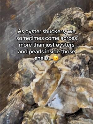 Don’t worry, this isn’t our first crab encounter that’s for sure!! #oysters #oyster #oystershucking #oysteropening #crab #oystercrab #oysterbar #oystershucker #oystergirl #howtoshuckoyster #girlswhoshuck #oystergirls #localfavorite #centralflorida #holeinthewall #familyowned 