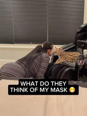 What do they think of my mask? #viral #video #viralvideo #viraltiktok #viral_video #trending #trendy #Love #tiktokcats #cat #cats #capcut #reel #funny #serval #servals #servalcat #servalsoftiktok 