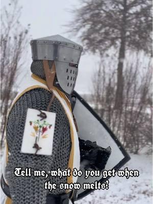 That’s right! You get Spring! #knighttok #paladinofhope  #knightcosplay #paladincosplay #knight #dndtiktok #fantasytok #knights 