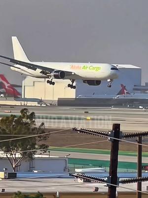 PLANE STRUGGLES TO LAND AT LOS ANGELES INTERNATIONAL AIRPORT #fyp #la #losangeles #laxairport #planespotting #planespotter #planespotters #aviation #pilot #flightattendant #cabincrew #takeoff #aircraft #viral #viralvideos #landing #crosswind #hardlanding #windy 