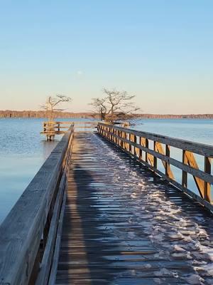 Always in my Heart 💞☀️💙🫶🏻💙✨️✌🏻😊 #loveyouforever #alwaysinmyheart  #reelfootlake #Tennessee #peaceful #magical #beautiful #myhappyplace #lifealone #greatfulheart #blessedlife 