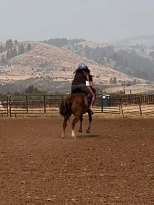 little throwback 😂 @Ashlyn Ruth Williams #foryoupage #fyp #foryou #fypシ #idaho #oregon #rodeo #rodeogirls #horse #horses #mini #trend #trending #blackhairedgirls #jetblackhair #blackhair #western #westernfashion 